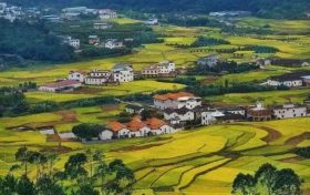 農(nóng)業(yè)農(nóng)村部：多措并舉推進農(nóng)業(yè)農(nóng)村綠色發(fā)展縮略圖