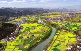 漢中油菜花節(jié)各縣區(qū)觀花線路公布！縮略圖