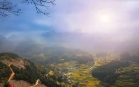 “云賞花”模式開啟，漢中最美春光都在這~縮略圖