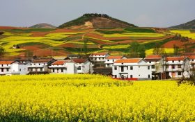 關于做好2022年全面推進鄉(xiāng)村振興重點工作的實施意見縮略圖 關于做好2022年全面推進鄉(xiāng)村振興重點工作的實施意見縮略圖