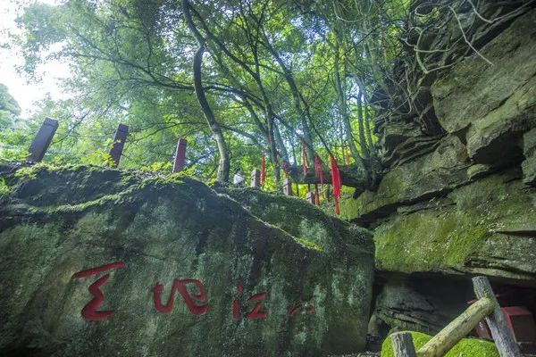 @寧強(qiáng)人，漢江源景區(qū)年卡福利來啦?。〔鍒D15