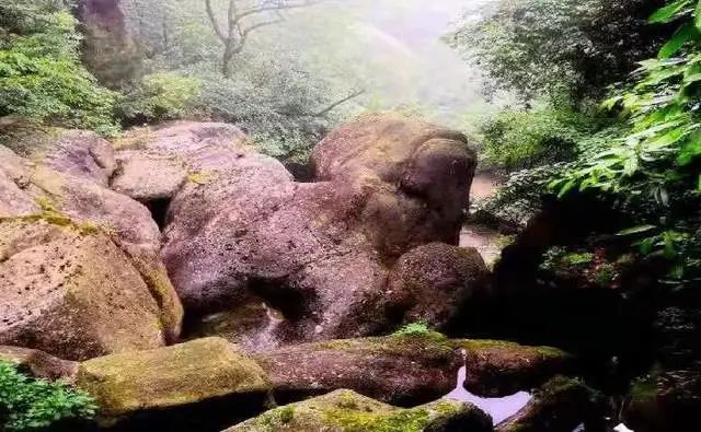 @寧強(qiáng)人，漢江源景區(qū)年卡福利來啦??！插圖16