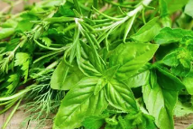今天，我們?nèi)绾斡H近野菜縮略圖