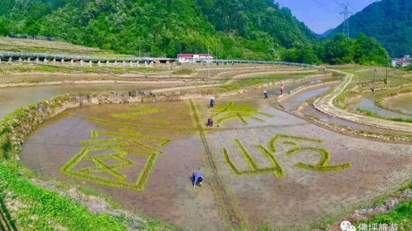 佛坪這些地方，讓你的春游不再單調(diào)！插圖17