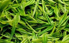為什么說喝春茶沒必要“洗茶”？縮略圖