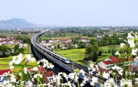 陜西漢中:高鐵穿越油菜花海風(fēng)景如畫縮略圖