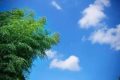 直接入夏！漢中氣溫將突破30℃縮略圖