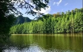 火爆出圈的漢中出游“頂流”，您最鐘意哪一處？縮略圖
