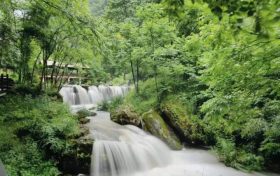 “5·12”國際護(hù)士節(jié)，免費入園！縮略圖