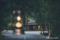 闖進留壩秘境森林，過22℃的夏天縮略圖