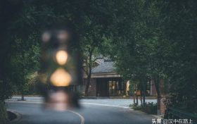 闖進留壩秘境森林，過22℃的夏天縮略圖