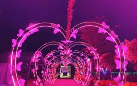 燈光節(jié)，快來體驗夏夜的“繁光遠綴天”！縮略圖