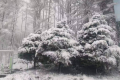 陜西多地5月飄雪！氣象局連發(fā)12個(gè)預(yù)警 最低氣溫6℃……縮略圖
