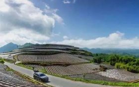 在南鄭，這條“紅色交通線”串起川陜鄉(xiāng)親美好新生活縮略圖