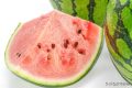 一口8400個(gè)細(xì)菌？你是合格的夏日“吃瓜群眾”嗎？縮略圖
