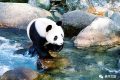 全國首家！開工！縮略圖