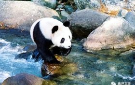全國首家！開工！縮略圖