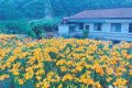 文旅行業(yè)新添兩個“新職業(yè)”！縮略圖