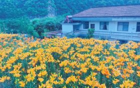 文旅行業(yè)新添兩個(gè)“新職業(yè)”！縮略圖