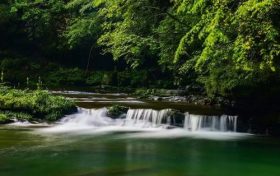 漢中避暑界的“頂流”，晚上還要蓋棉被！縮略圖