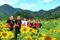 漢中新晉“網(wǎng)紅”向日葵花海，等你來(lái)打卡！縮略圖