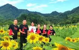 漢中新晉“網紅”向日葵花海，等你來打卡！縮略圖