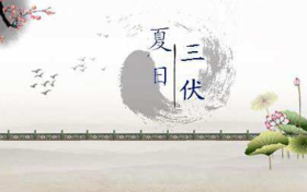 三伏天怎么吃，一次給您說明白縮略圖