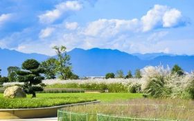期待值拉滿！漢臺秋天的十種浪漫打開方式→縮略圖