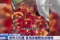 流量至上催生獵奇式吃播 多管齊下如何剎住“吃奇”之風(fēng)？縮略圖