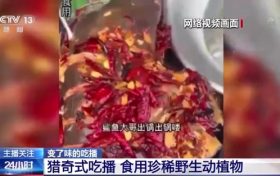 流量至上催生獵奇式吃播 多管齊下如何剎住“吃奇”之風(fēng)？縮略圖