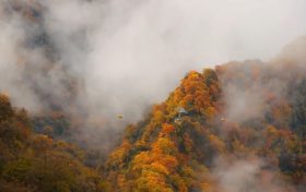 霜降 | 天上寒霜降，人間秋色深縮略圖