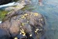 未來三天陜西降水、吹風持續(xù) 清晨易出現(xiàn)大霧縮略圖