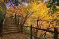 邂逅漢中這里，綿延山脈極致色彩等你來欣賞縮略圖