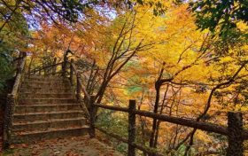 邂逅漢中這里，綿延山脈極致色彩等你來欣賞縮略圖