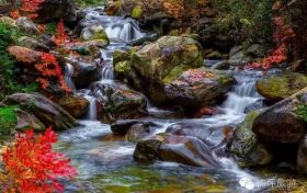 花開千樹“層林盡染”，佛坪秋景大賞~縮略圖