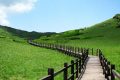 來留壩，我“氧”你！ 紫柏山負(fù)氧離子含量超國際標(biāo)準(zhǔn)13倍縮略圖