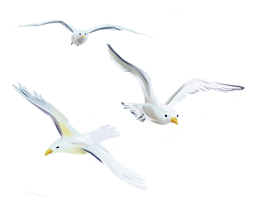 640-62 640-62