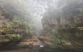 仙霧繚繞，邂逅一場浪漫之旅！縮略圖