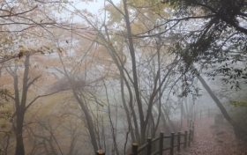 仙霧繚繞，如夢如幻！縮略圖