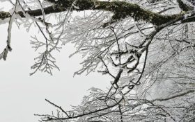 云賞龍頭山入冬初雪！霧凇奇觀太美啦！縮略圖