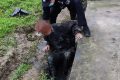 一張購(gòu)物小票，找到走失老人的回家路縮略圖