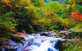 洋縣長青華陽景區(qū)恢復(fù)開園公告縮略圖