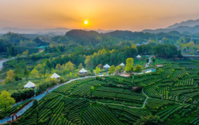 喜報！漢中市3縣獲第六批國家生態(tài)文明建設(shè)示范區(qū)和“兩山”基地命名！縮略圖