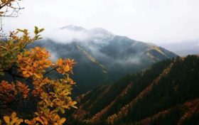 正當(dāng)時(shí)，邂逅青木川的初冬縮略圖