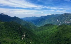 朱鹮、秦嶺石蝴蝶珍稀瀕危物種保護(hù)入選2022年生物多樣性保護(hù)優(yōu)秀案例縮略圖