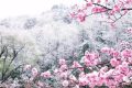 2022年十大流行語(yǔ)發(fā)布 你最熟悉的是哪個(gè)？縮略圖