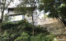 “陽(yáng)”了后你還在“咳咳咳”嗎？縮略圖
