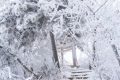 陜西降溫、吹風(fēng)來襲 局地降溫可達(dá)10℃縮略圖