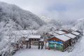 降溫要來了！1月11日—15日陜西多雨雪天氣 陜北降溫8-10 ℃縮略圖