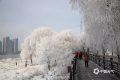 明天16時(shí)29分，正式進(jìn)入……縮略圖